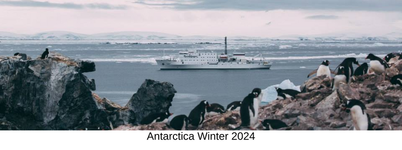 Antarctica 24